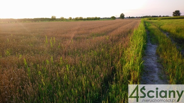 Działka 1500 m2 w BŁONIE