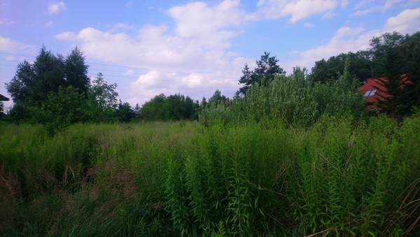 Działka 1259 m2 w BŁONIE