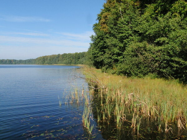 Działka 16497 m2 w CZAPLINEK