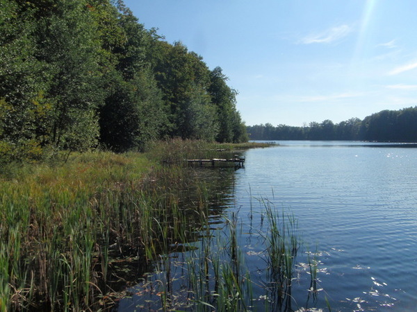 Działka 16497 m2 w CZAPLINEK