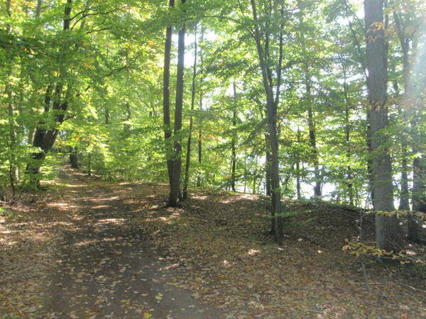 Działka 16497 m2 w CZAPLINEK