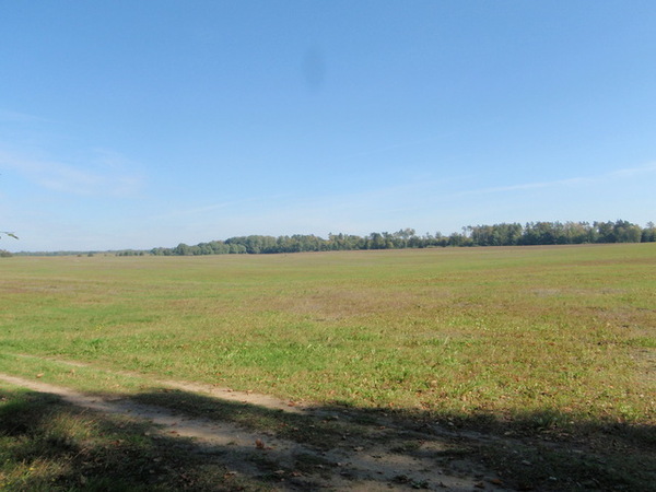 Działka 16497 m2 w CZAPLINEK