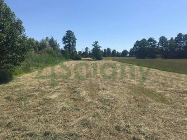 Działka 2233 m2 w DĘBE WIELKIE