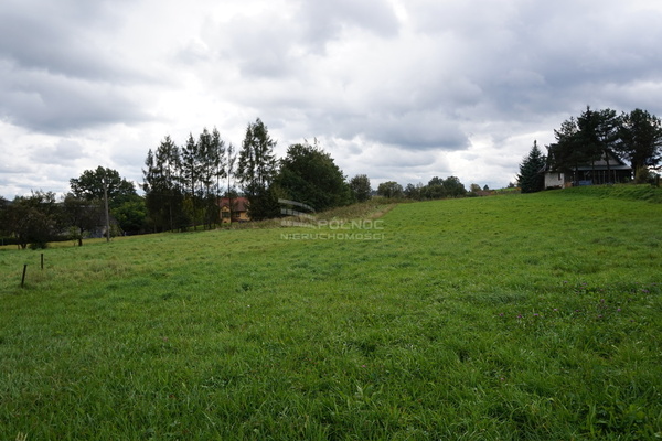 Działka 3100 m2 w BOCHNIA