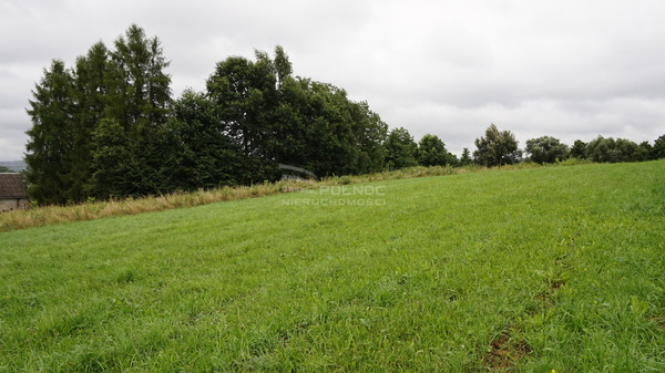 Działka 3100 m2 w BOCHNIA