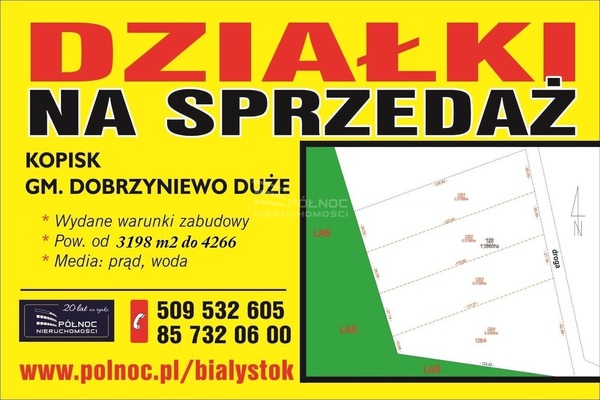 Działka 3198 m2 w DOBRZYNIEWO DUŻE