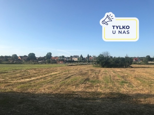 Działka 1000 m2 w KOTLA