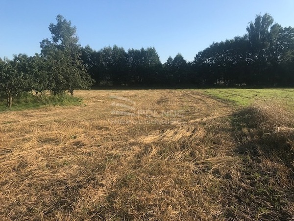 Działka 1000 m2 w KOTLA