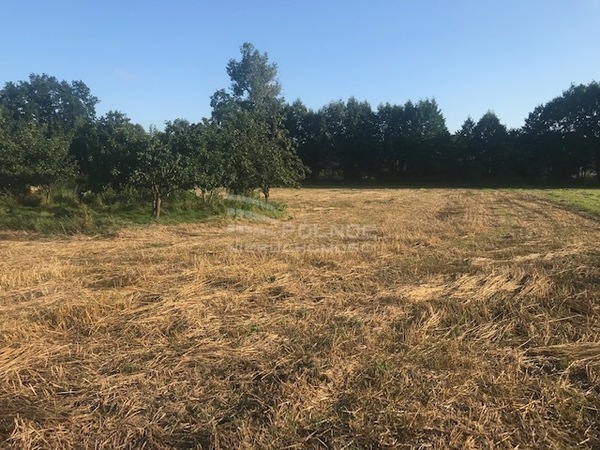 Działka 1000 m2 w KOTLA