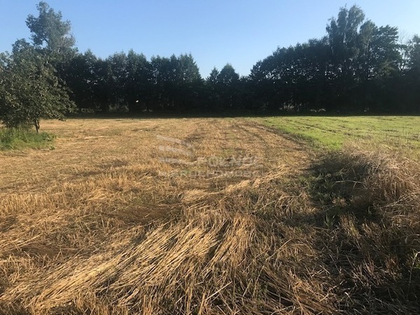 Działka 1000 m2 w KOTLA