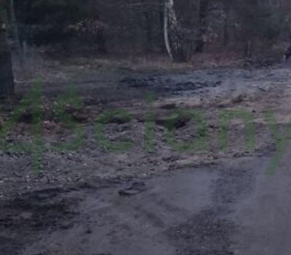 Działka 1280 m2 w ŻABIA WOLA