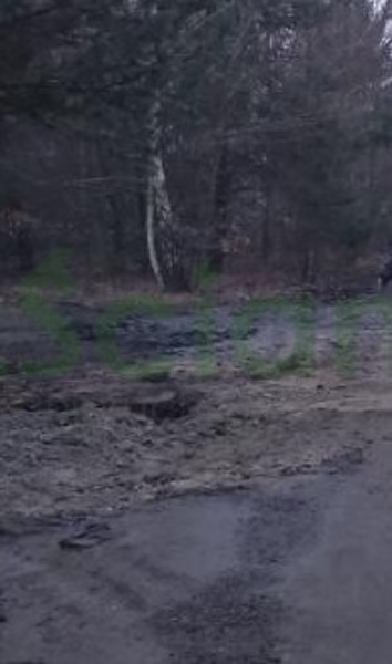 Działka 1280 m2 w ŻABIA WOLA