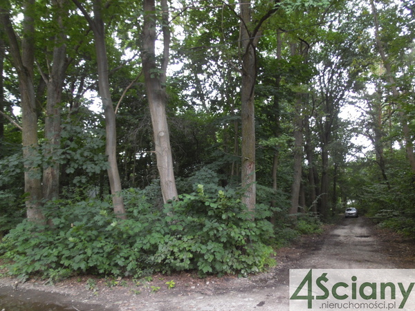 Działka 3060 m2 w WARSZAWA