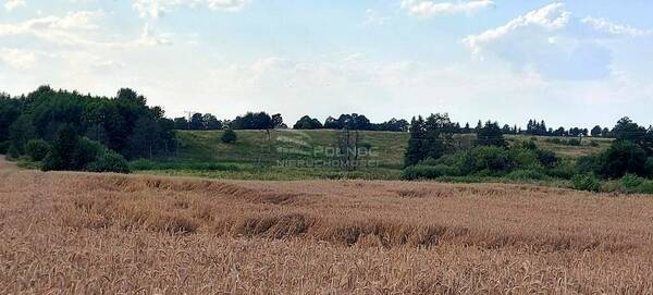 Działka 14700 m2 w PIENIĘŻNO