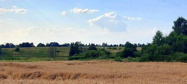 Działka 14700 m2 w PIENIĘŻNO