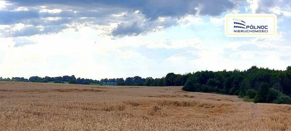 Działka 14700 m2 w PIENIĘŻNO