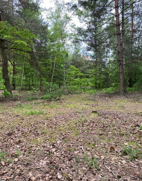 Działka 3040 m2 w JÓZEFÓW