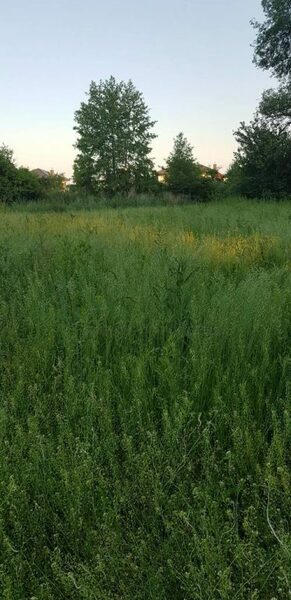 Działka 1000 m2 w WARSZAWA