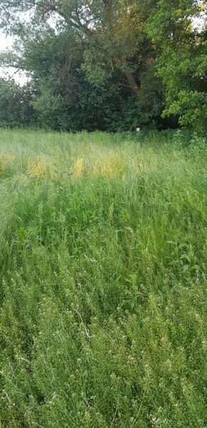 Działka 1000 m2 w WARSZAWA