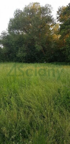 Działka 1000 m2 w WARSZAWA