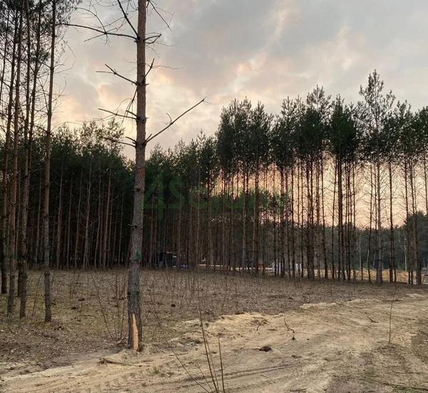 Działka 1500 m2 w GRODZISK MAZOWIECKI