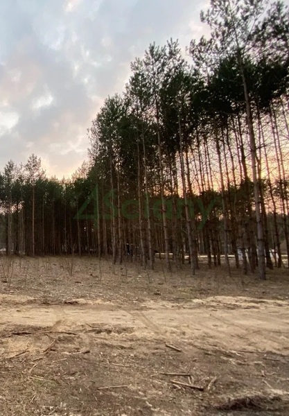 Działka 1500 m2 w GRODZISK MAZOWIECKI