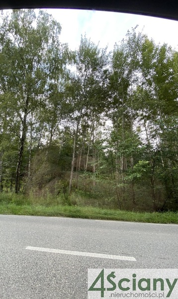 Działka 7300 m2 w PIASECZNO