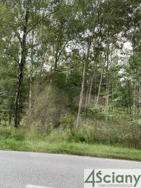 Działka 7300 m2 w PIASECZNO