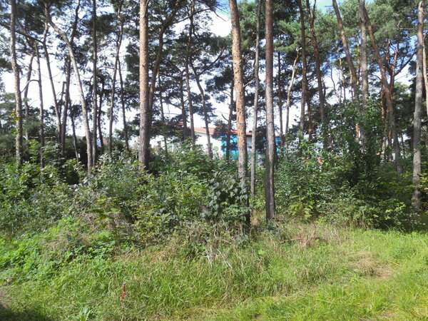 Działka 2000 m2 w WARSZAWA