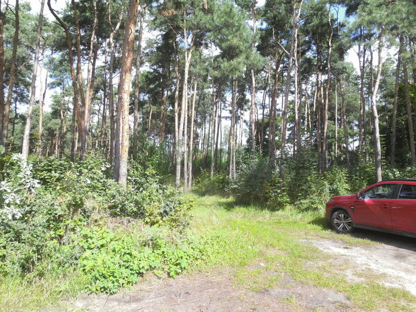 Działka 2000 m2 w WARSZAWA