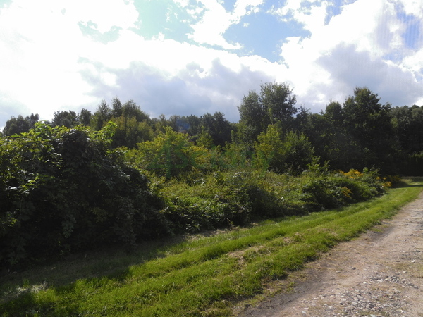 Działka 1065 m2 w WARSZAWA