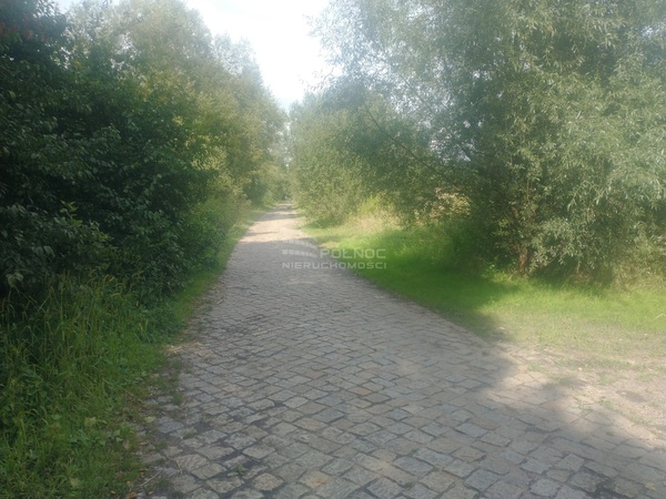 Działka 47900 m2 w SIECHNICE