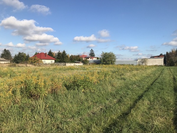 Działka 5500 m2 w RASZYN