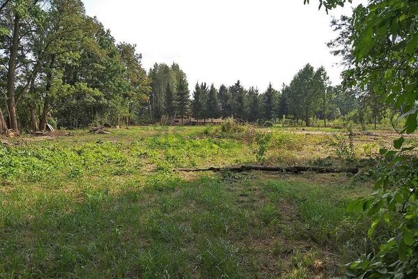 Działka 9159 m2 w SULEJÓWEK