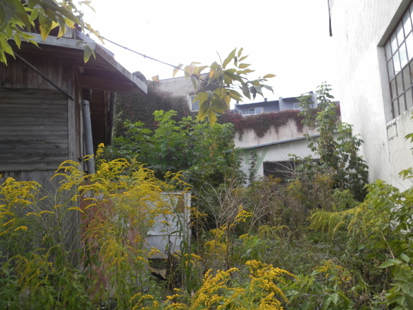 Działka 425 m2 w WYSZKÓW