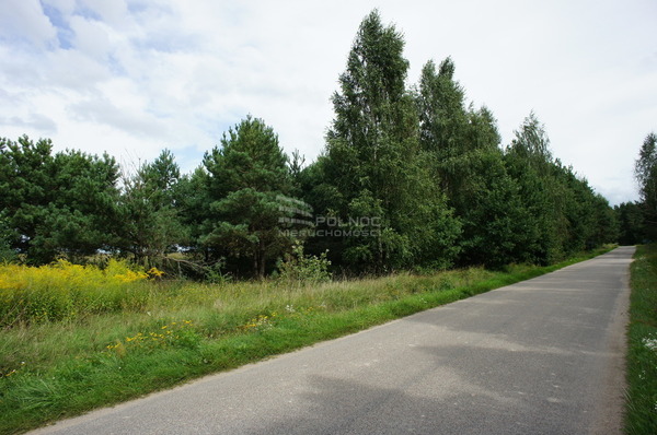 Działka 6477 m2 w KALINOWO
