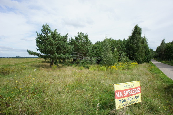 Działka 6477 m2 w KALINOWO