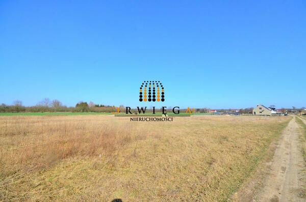 Działka 1353 m2 w KŁODAWA