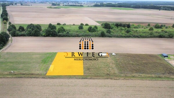 Działka 1353 m2 w KŁODAWA