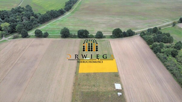 Działka 1353 m2 w KŁODAWA