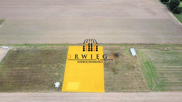 Działka 1355 m2 w KŁODAWA