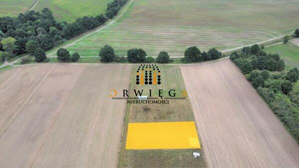 Działka 1355 m2 w KŁODAWA