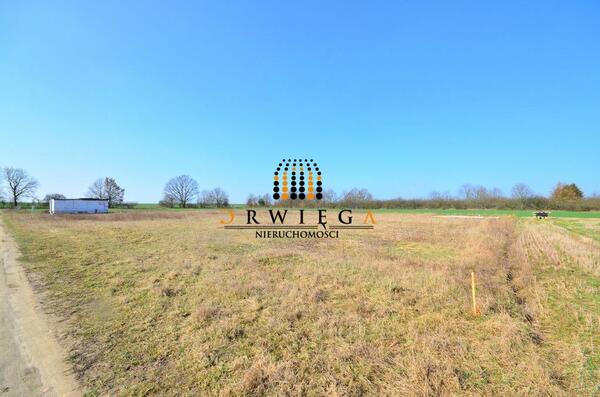 Działka 1355 m2 w KŁODAWA