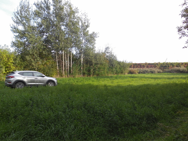 Działka 1332 m2 w WARSZAWA