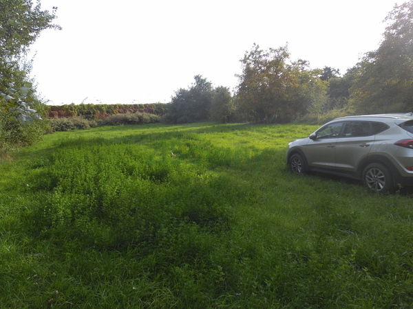 Działka 1332 m2 w WARSZAWA