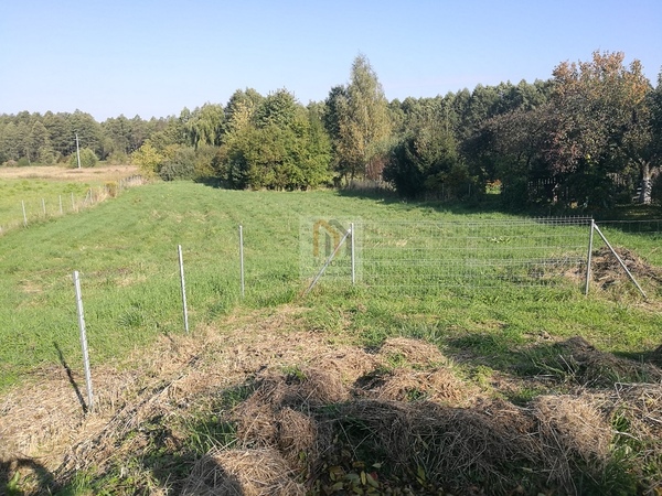 Działka 5800 m2 w JASTKÓW