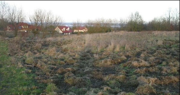 Działka 7848 m2 w SZCZECIN