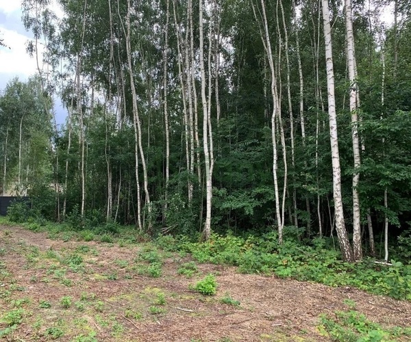 Działka 2277 m2 w MICHAŁOWICE