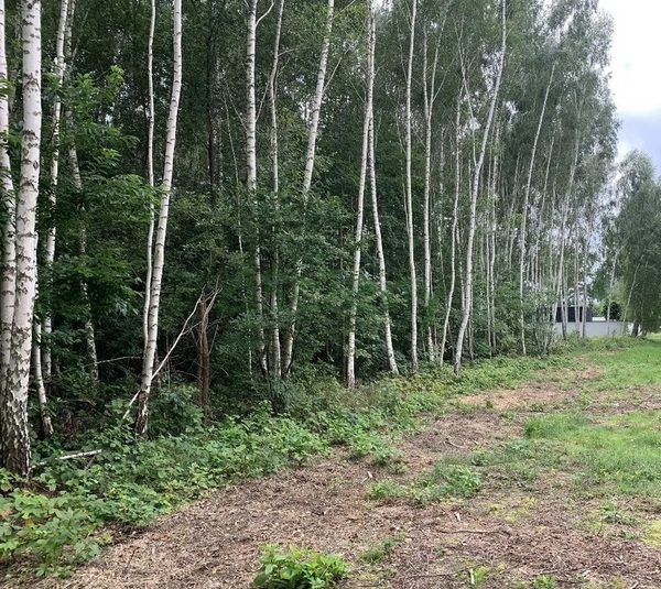 Działka 2277 m2 w MICHAŁOWICE