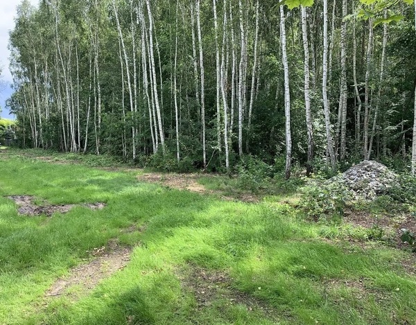 Działka 2277 m2 w MICHAŁOWICE